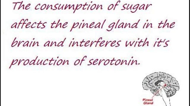 Does Diet Soda Make You Gain Weight? смотреть онлайн