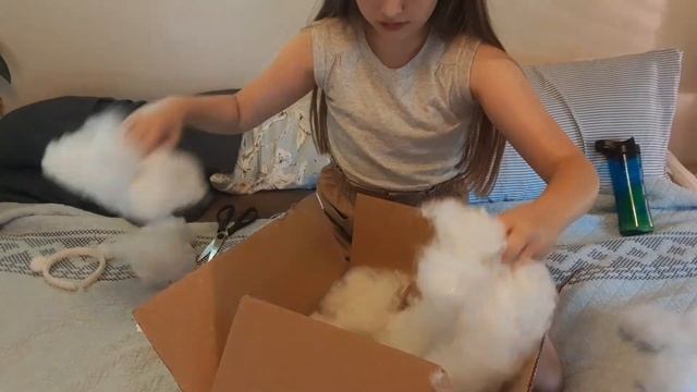 Hoya Unboxing... #Silver Dollar #Hoya....You won't believe how Beautiful...... смотреть онлайн