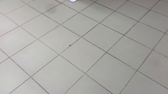 -2871327059426121113