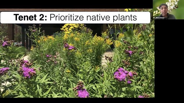 Fundamentals of Pollinator Gardening смотреть онлайн