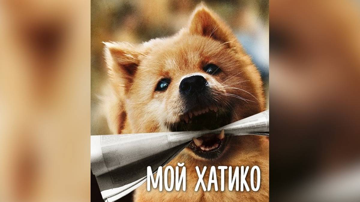 Мой Хатико (2023)