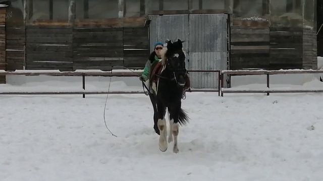 липа на возжах первый раз смотреть онлайн