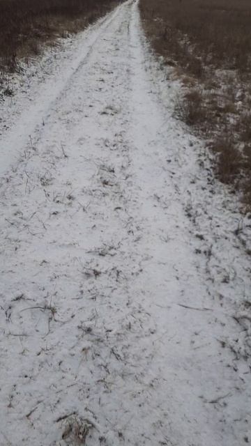 15.02.2025 смотреть онлайн