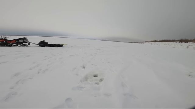 На рыбалку за вкусной рыбой. Ловля сига зимой. 18.02.2023 смотреть онлайн