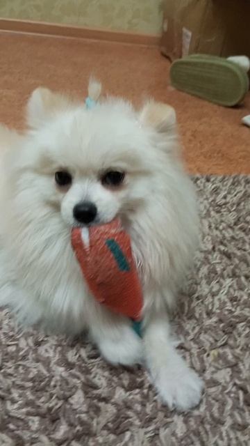 Умка смотреть онлайн