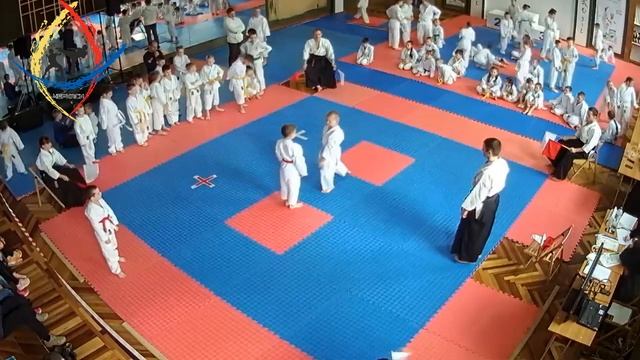 Відкритий Чемпіонат міста Черкаси з традиційного карате, 30.03.2019 р. Частина 1 смотреть онлайн