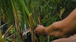 ПОСТРОИЛИ ПЛОТ И ПРОВЕЛИ НА НЕМ 24 ЧАСА!