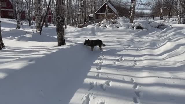 2024-02-01 СНТ Овражки - Снимаем показания