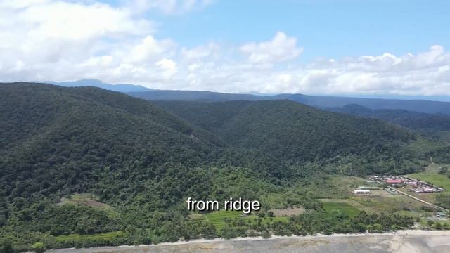 Northern Sierra Madre Natural Park: The Last Great Forest смотреть онлайн