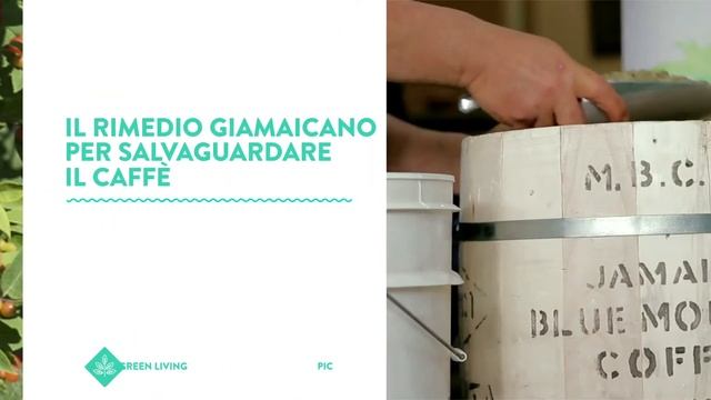 Autogrill Breaking News - Episodio 28