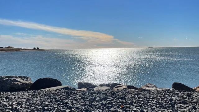 TLP and Acid Sulfate Soils смотреть онлайн