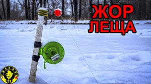 БЕШЕННЫЙ КЛЕВ ЛЕЩА В ГЛУХОЗИМЬЕ. РЫБАЛКА НА КОМБАЙНЫ