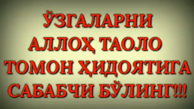 2675-Савол: Шайҳ Торифий ким? Абдуллоҳ Зуфар Ҳафизаҳуллоҳ смотреть онлайн