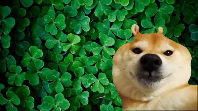 lucky lucky meme//Yoshimura ~• animation meme? •~ смотреть онлайн