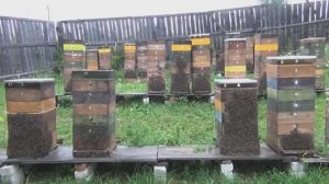 Ульи _УДАВ_.....    Метод _гармошки_.