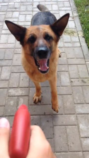 ЭТО МОЖНО СМОТРЕТЬ ВЕЧНО! смотреть онлайн