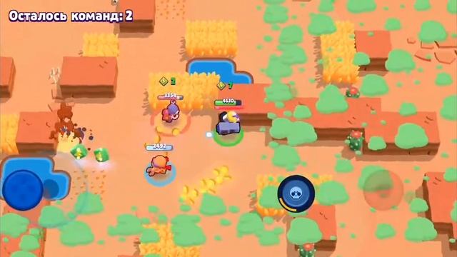 Каткы в бравл старц и неразу не слил кубки смотреть онлайн