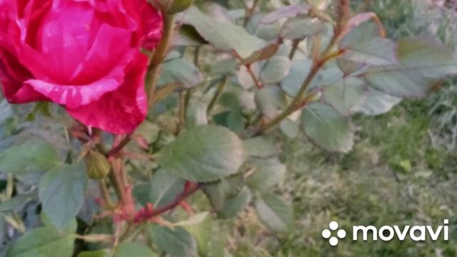 31 липня 2022 р. смотреть онлайн