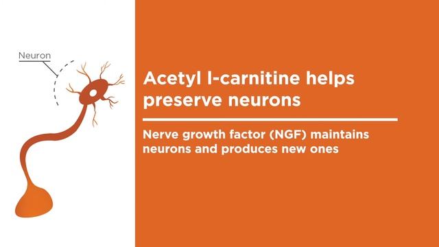 What does acetyl l-carnitine do? смотреть онлайн