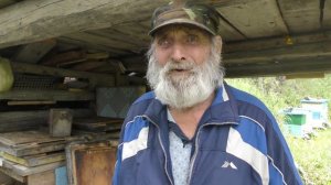 Пасека на связи