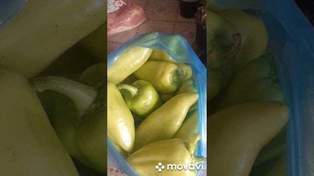готовлю болгарский перец#лайк #коментарий #оценкаканала #рек смотреть онлайн