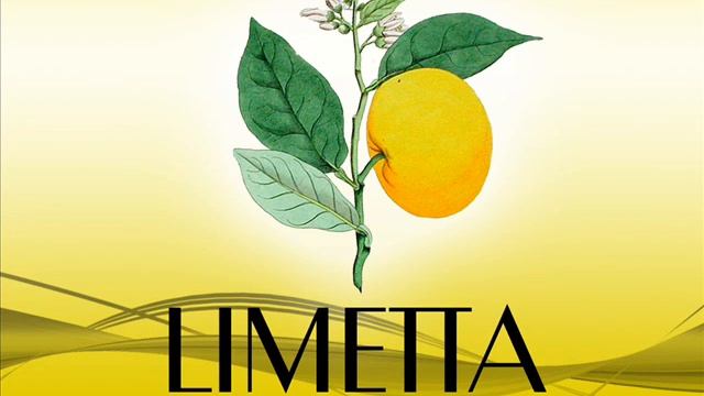 Limetta intro смотреть онлайн