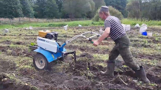 Как мы мотоблоком картошку копаем!!!! смотреть онлайн