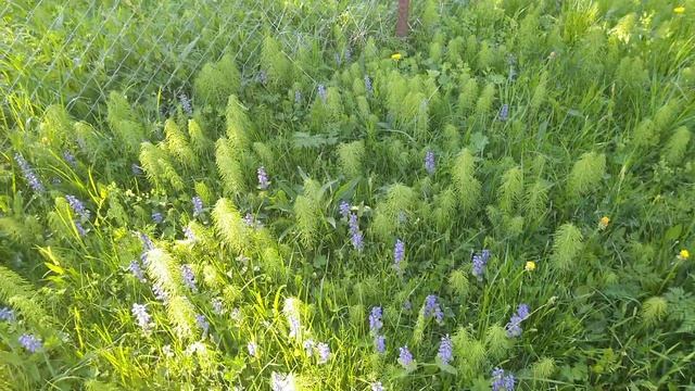 12 июня 2021 г. смотреть онлайн