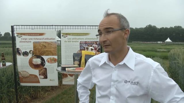 2013 - Vidéo CEREALES - Les Céréales : à Chaque Usage Ses Espèces Et Ses Variétés