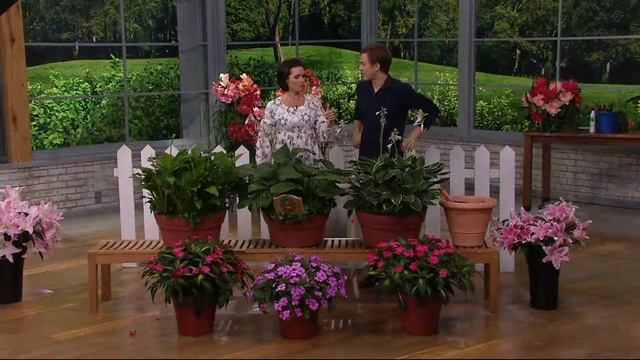 Roberta's 9-piece Large Leafed Hosta Collection on QVC смотреть онлайн