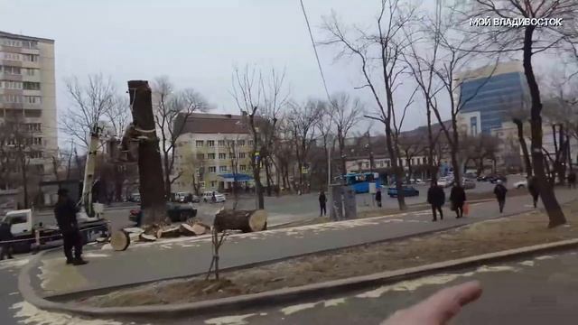 Владивосток, не рубите мужики (11 декабря 2023). смотреть онлайн