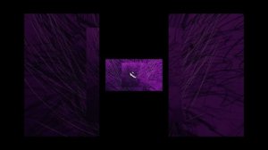 песня тома тома