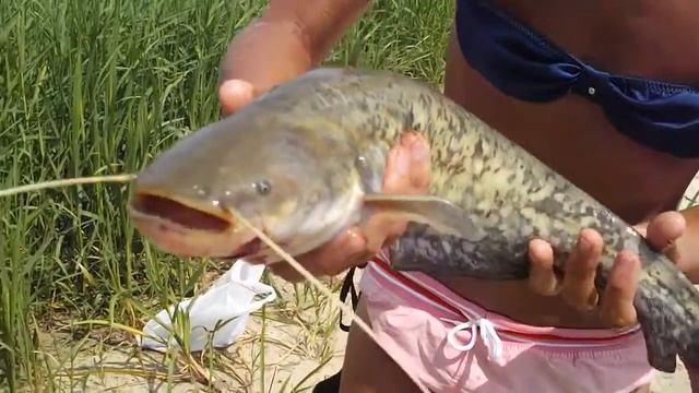 July 10, 2013, Linda with a catfish, its weight is 850 grams, time 0-32 смотреть онлайн