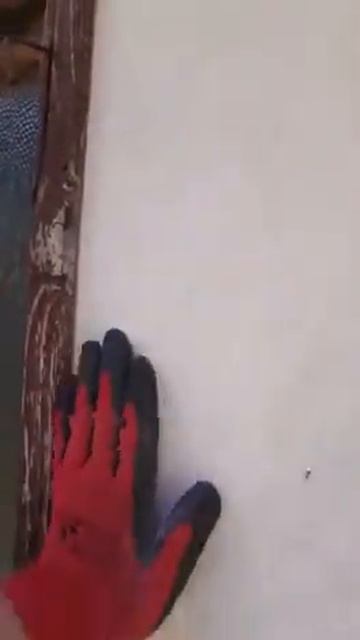 Как избавиться от муравьев смотреть онлайн