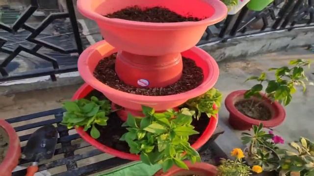 DIY Petunia Beautiful Tower смотреть онлайн