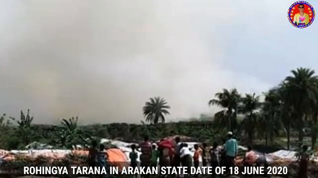 Sonali Arakan of rohingya for Tarana share like 18 June 2020 смотреть онлайн