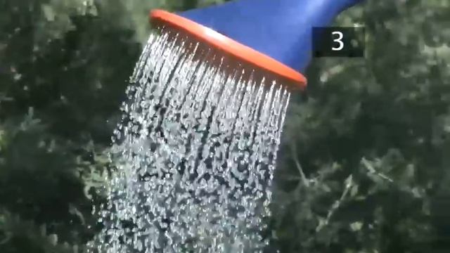 How To Plant Snowdrops In The Green At Home смотреть онлайн