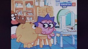 Взлом Бибигона (09.02.2006)