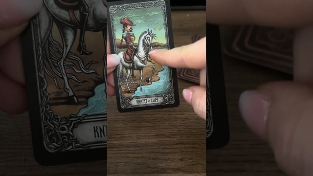 Обзор колоды Таро «Темный Особняк». #tarotcards #darkmansiontarot