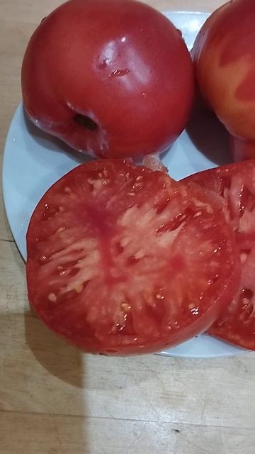 Томат Адонис из Риги смотреть онлайн