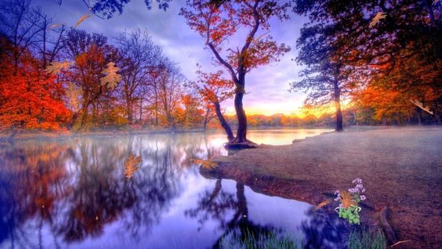 #1 Background / Фон