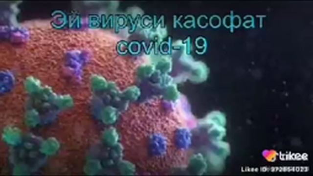 Шер дар бораи карона вирус смотреть онлайн