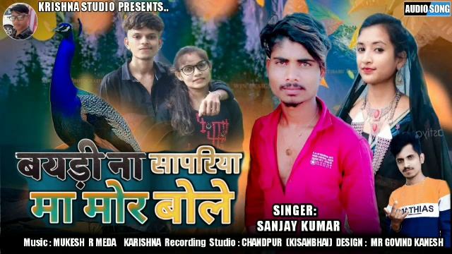 बयड़ी ना सापरिया मा मोर बोले //BAYDI NA SAPRIYA MA MOR BOLE //SANJAY KUMAR //NEW TIMLI (2022) смотреть онлайн