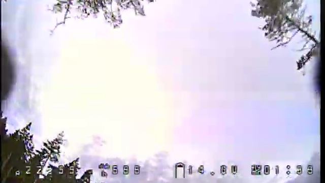 Сосны Фристайл смотреть онлайн