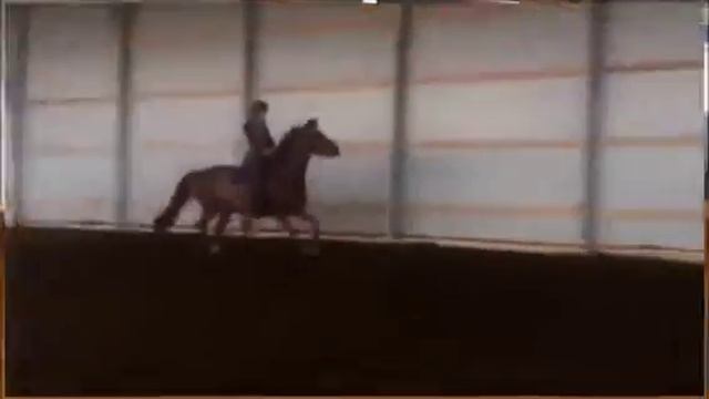 Репа продажа смотреть онлайн