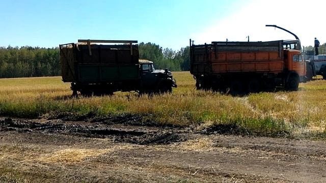 Не много застряли смотреть онлайн