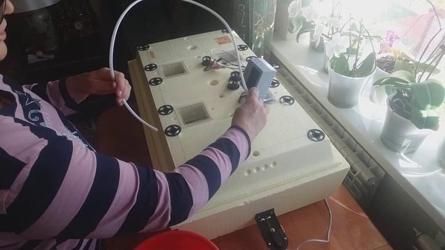3 марта 2020 г. смотреть онлайн