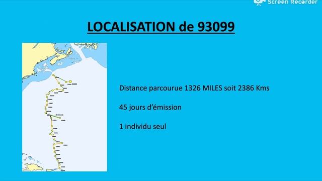 MEGARA survey in the Caribbean смотреть онлайн