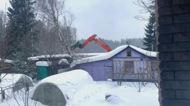 Дерева вы мои дерева смотреть онлайн