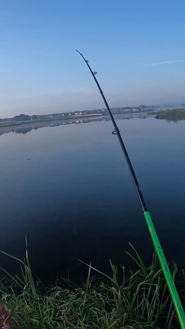 Поймал Щуку смотреть онлайн